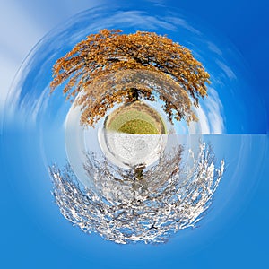 Two season little planet concept