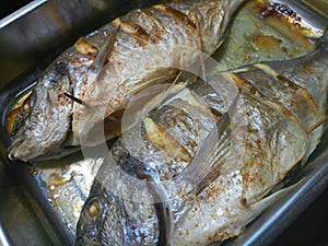 Two seasoned sea breams cooking in a silver tray