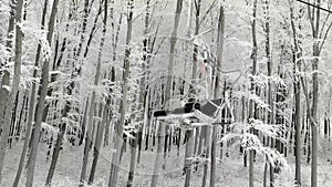 Two-seat cable car on a ski track in the winter snowy forest.