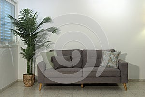 Two seater gray couch with three pillows next to decorative palm tree photo