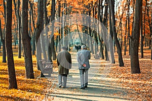 Two senior friends man walking along beautiful colorful autumn city park. Pair of old age persons talking during walk at beautiful