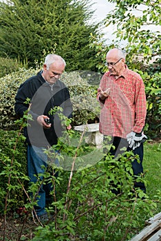 Two senior gardeners