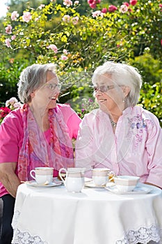 Two senior smiling women having tea in garden