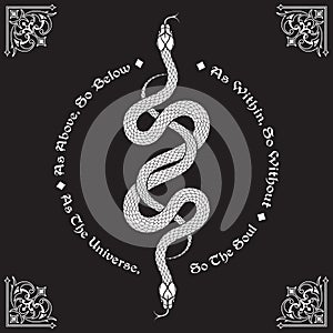 Two serpents intertwined. Inscription is a maxim in hermeticism and sacred geometry. As above, so below. Tattoo, poster or print