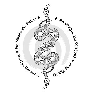 Two serpents intertwined. Inscription is a maxim in hermeticism and sacred geometry. As above, so below. Tattoo, poster photo