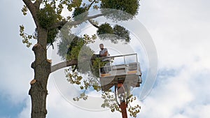 Two service workers cutting down big tree branches with chainsaw from high chair lift crane platform. Deforestation and
