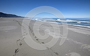 Two sets of footprints on a Pacific beach