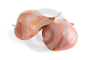 Two Shallot