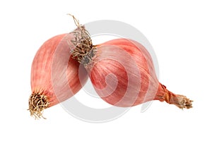 two shallots isolated on white