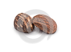 Two shea butter nuts on white