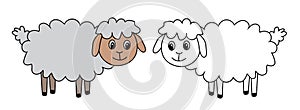 Two sheep, set, vector, illustration.