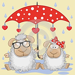 Two Sheep with umbrella