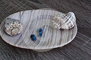 two shells and three fresh blue blueberries on the soup container, close up