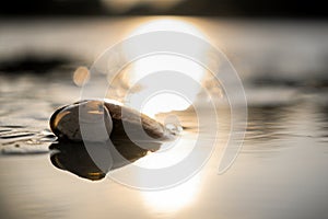 Two shells in the water at the beach at sunset