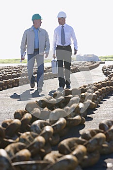 Two shipping engineers walking