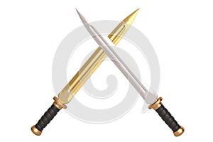 Two Short Swords Crossed.  isolated on white background 3D illustration