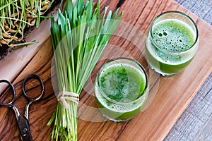 Two shots of barley grass juice with freshly harvested barley gr