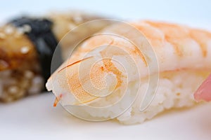 Two shrimp nigiri sushi sushi with eel on white background with reflection