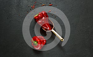 Two shriveled red peppers on a copper scoop and scattered spices on a black background. Top view with space photo