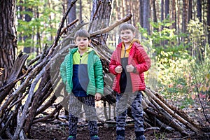 Two sibling brothers boys In the spring or autumn pine forest pl