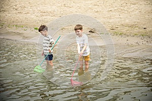 Two sibling little brother boy exploring the beach at low tide w