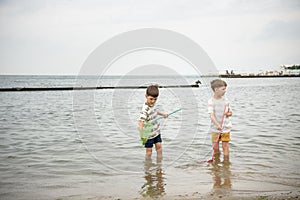 Two sibling little brother boy exploring the beach at low tide w