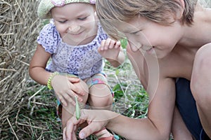 Two siblings playing with green praying mantis in summer field