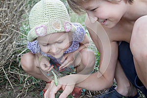 Two siblings studying green praying mantis in summer field