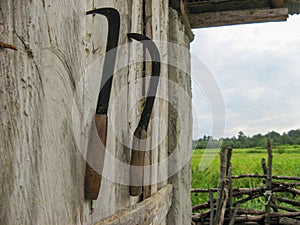 Two sickles on wooden photo