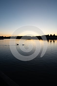 Two silhoettes of ducks on a calm lake as the summer sun sets in the university town of Lund, Sweden