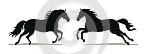 Two silhouette horses galloping side by side, black on white background. Equestrian elegance and dynamic motion vector photo