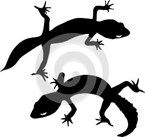 Two silhouettes of gecko
