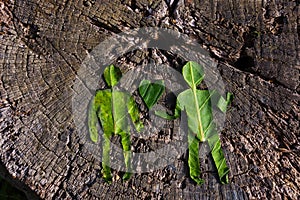 Two silhouettes of green people and a green heart made of leaves. Two humans and a heart as a symbol of affection, care