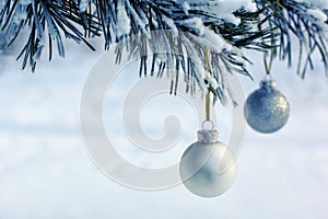 Two Silver Balls on Pine Tree in Winter Forest