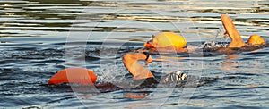 Two simmers with orange flotation divices in water