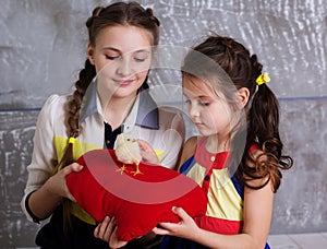 Two sisters with baby chicken