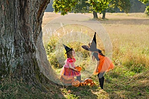 Two sisters in carnival dresses of witches near a huge tree on Halloween