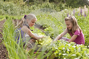 Two sisters in garden