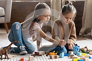 Two sisters play together wooden brick and dinosaurs toys set