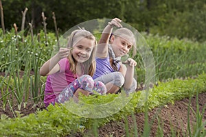 Two sisters pulled weeds