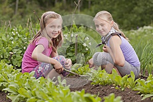 Two sisters working in vegetable garden