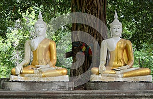 Two Sitting budda statue