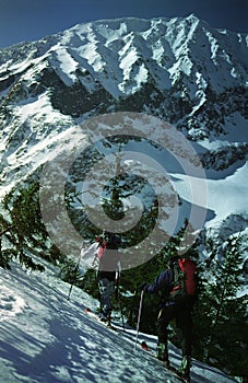 Two Skiers Climbing