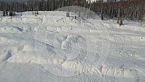 Two skiers among the snow and forest