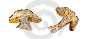 Two slices of dry porcini isolated on white background. Edible forest fungus with intense mushroom flavor as gourmet  food