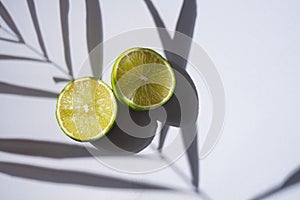 Two slices of juicy ripe lime lie in the shade of a palm tree branch on a gray background