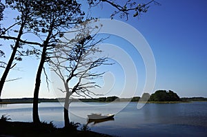 Two small boats and a dead tree by the lake at Polish Masuria district (Mazury) photo