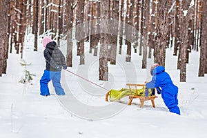 Two small children with sleds in the forest. Family walk in the woods