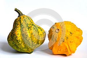 Two small decorative pumpkin squashes