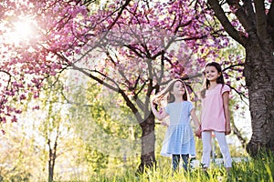 Two small girls standing outside in spring nature. Copy space.